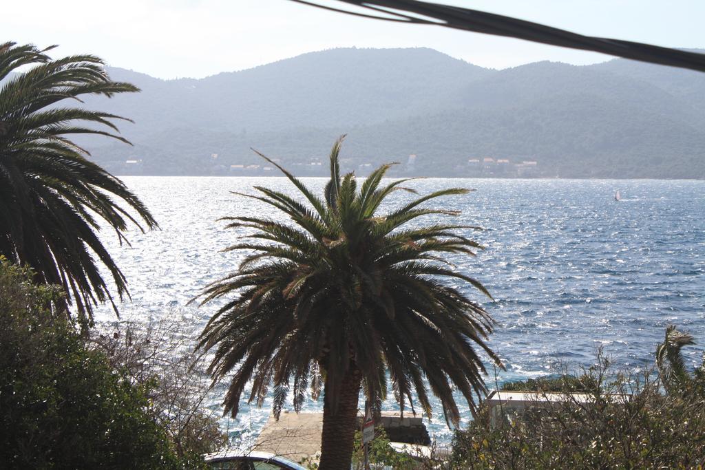 Apartman Anka Viganj Εξωτερικό φωτογραφία